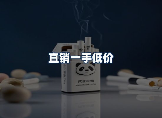 专业团队办公环境